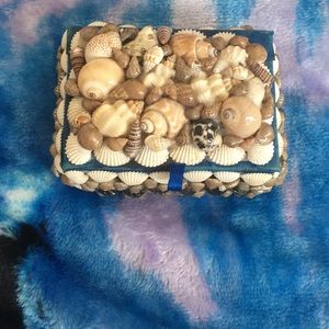 seashell jewelry holder